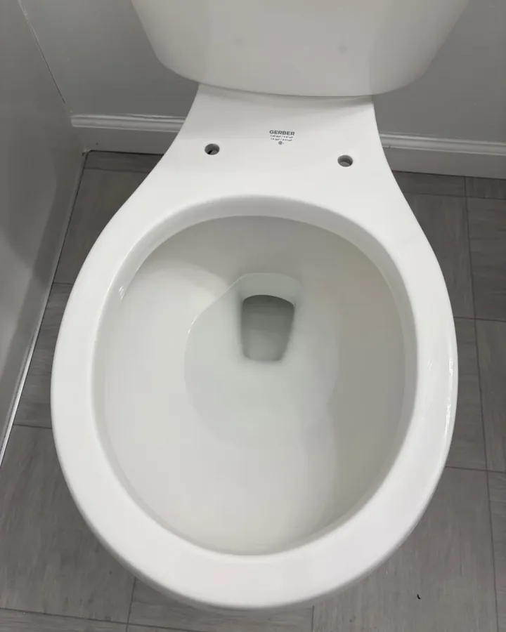 After: the same toilet scrubbed clean, hinge mounts included.