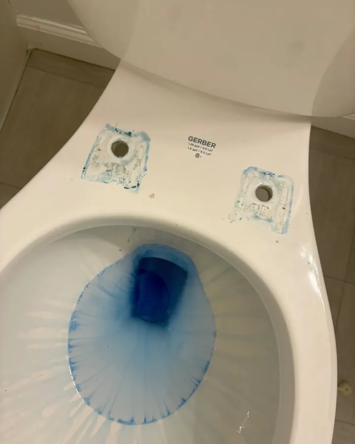 During: a toilet with the seat removed and blue cleaner working around the hinge mounts and bowl.