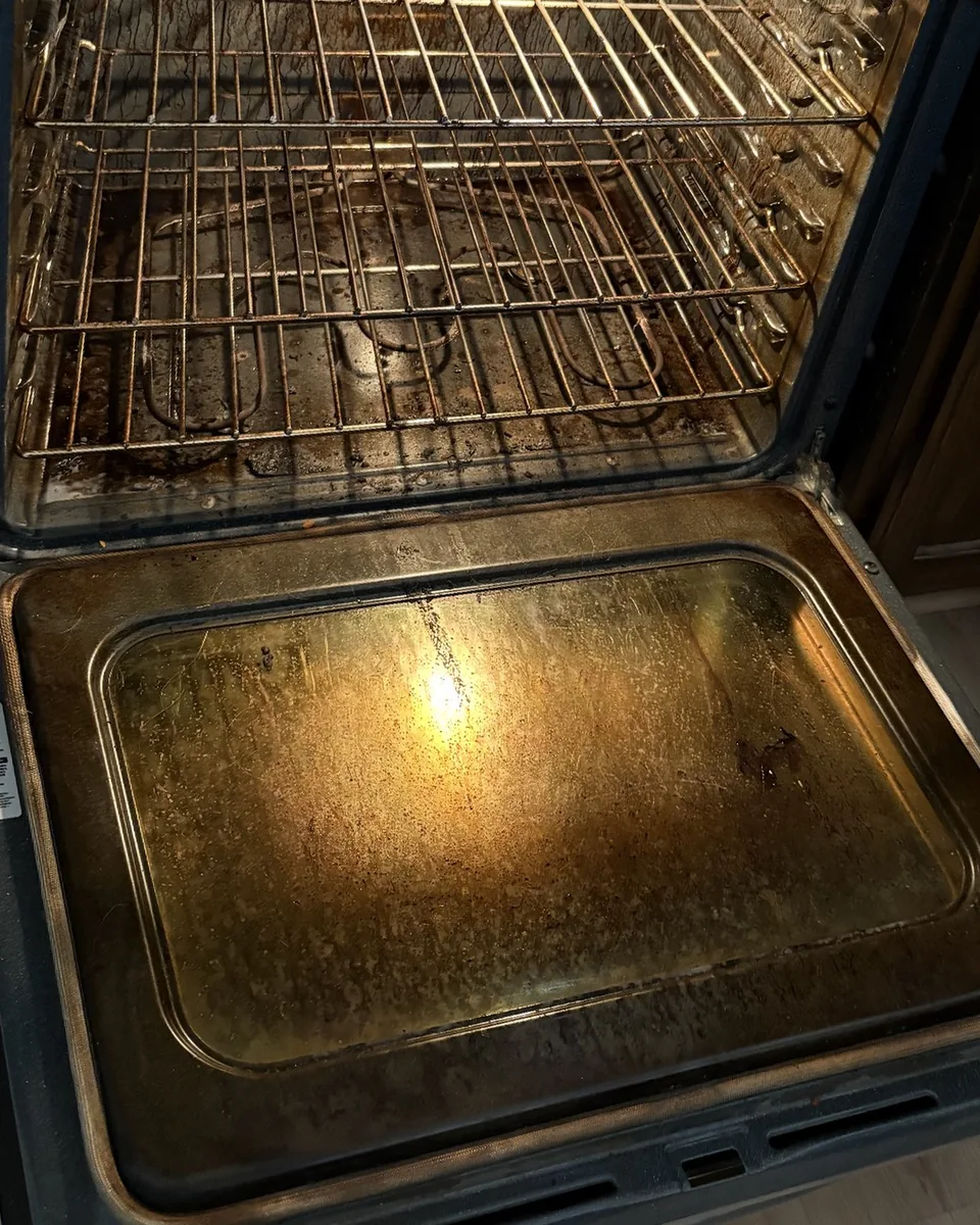 Before: an oven door and racks coated in baked-on brown grease.